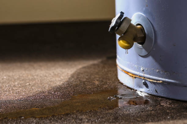 Best Professional water damage repair  in Ballard, UT