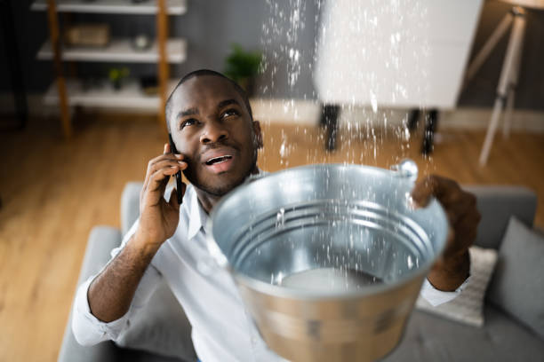 Best Flood damage cleanup  in Ballard, UT