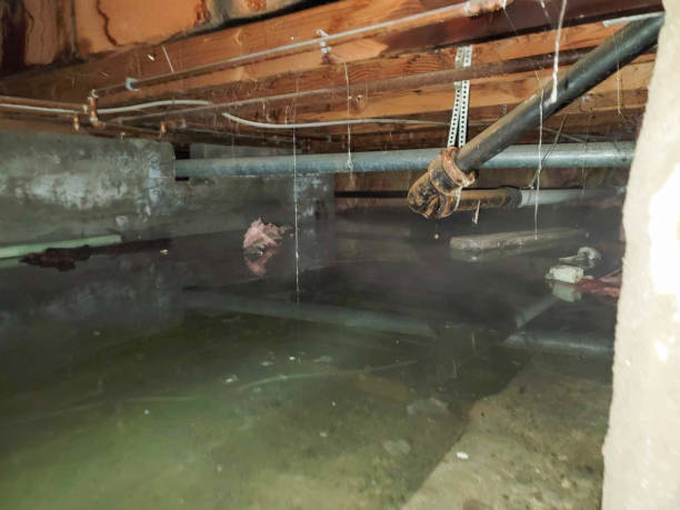 Best Water damage restoration near me  in Ballard, UT