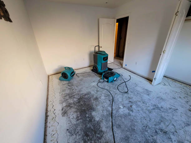 Best 24/7 water damage repair  in Ballard, UT