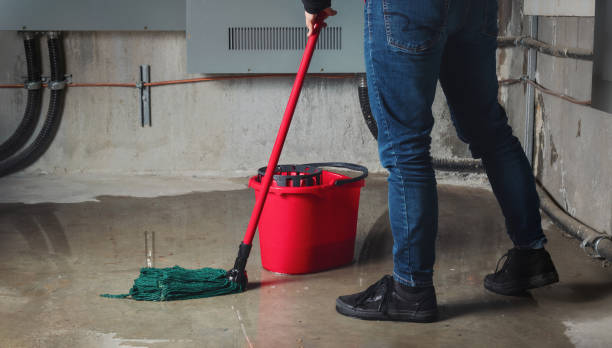 Best Water damage contractors near me  in Ballard, UT
