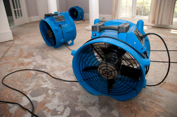 Best Fire Damage Restoration  in Ballard, UT