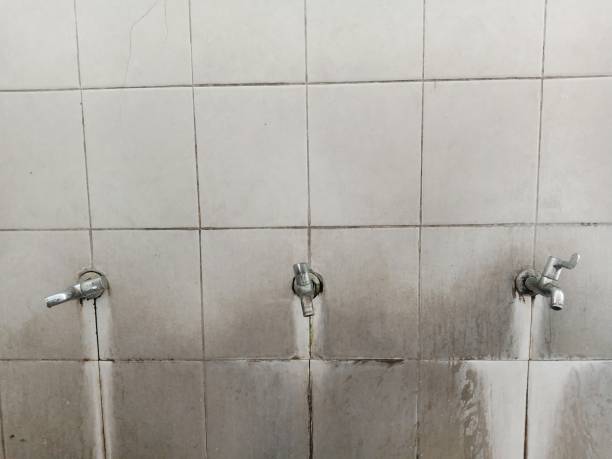 Best Mold removal after water damage  in Ballard, UT