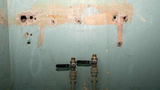 Best Emergency water extraction  in Ballard, UT