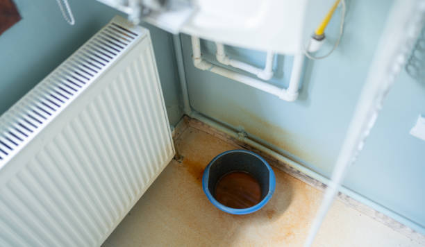 Best Professional water damage repair  in Ballard, UT