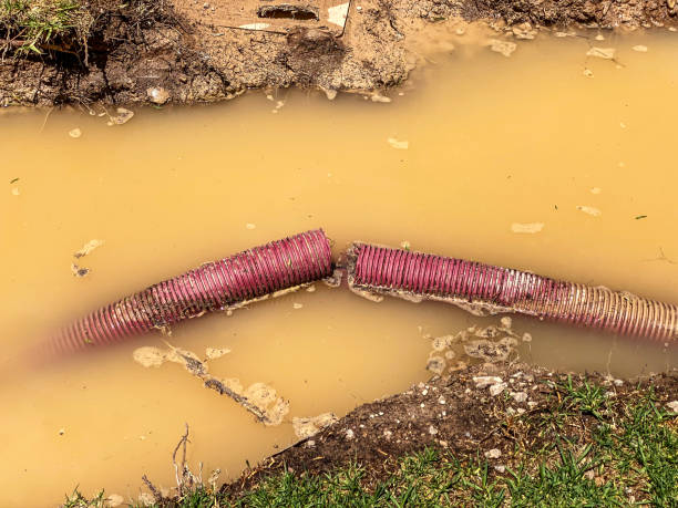 Best Carpet water damage restoration  in Ballard, UT