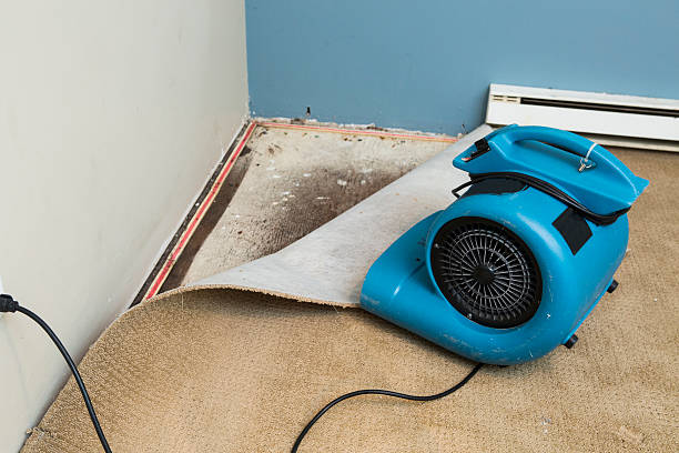 Best 24-hour water damage restoration  in Ballard, UT